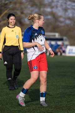 Bild 379 - wBJ Hamburger SV - Hertha BSC : Ergebnis: 2:1